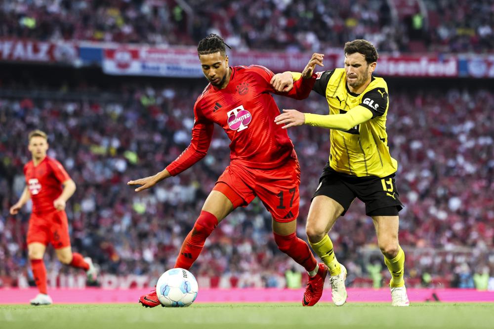 還是女子花 還是女子花